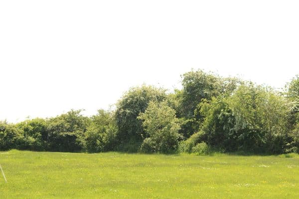 Camping location in East of England