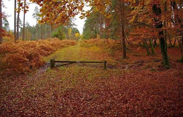 Camping location in East Midlands